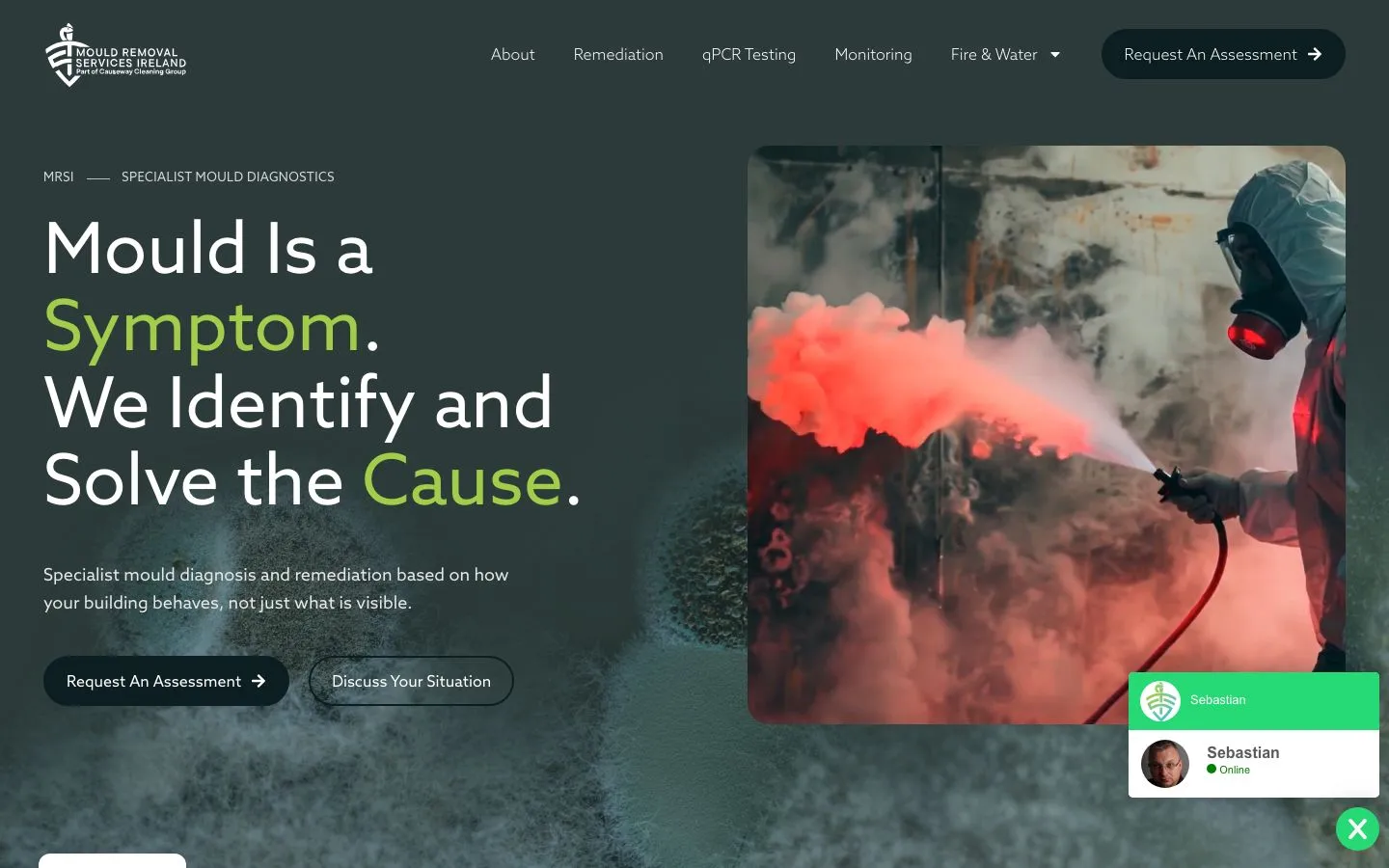 Screenshot of the Mould Removal Services Ireland website homepage